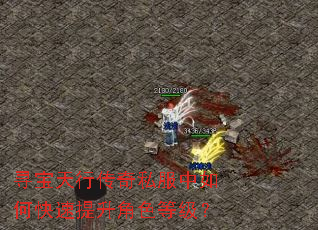 寻宝天行传奇私服中如何快速提升角色等级? 寻宝天行传奇私服中如何快速提升角色等级?