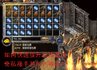 如何快速提升新热血传奇私服手游角色等级? 如何快速提升新热血传奇私服手游角色等级?