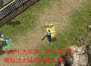 传奇十大家族,谁才是你称霸玛法大陆的终极选择? 传奇十大家族,谁才是你称霸玛法大陆的终极选择?