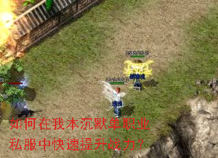 如何在我本沉默单职业私服中快速提升战力? 如何在我本沉默单职业私服中快速提升战力?