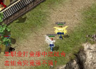 ��ְҵ�����з�ս�ϻ���Ͼ���ǿ��ǿ��