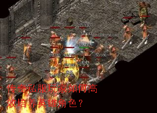 传奇私服玩家如何高效培养英雄角色? 传奇私服玩家如何高效培养英雄角色?