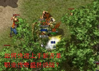 如何快速上手新开单职业传奇盛世绝版? 如何快速上手新开单职业传奇盛世绝版?