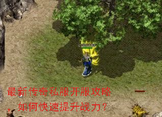 最新传奇私服开服攻略,如何快速提升战力? 最新传奇私服开服攻略,如何快速提升战力?