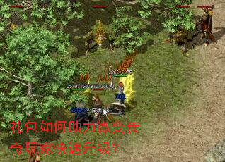 礼包如何助力微变传奇玩家快速升级? 礼包如何助力微变传奇玩家快速升级?