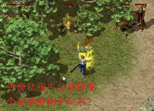 传奇私服平台选择哪个更适合新手玩家? 传奇私服平台选择哪个更适合新手玩家?