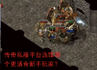 传奇私服平台选择哪个更适合新手玩家? 传奇私服平台选择哪个更适合新手玩家?