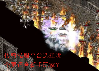 传奇私服平台选择哪个更适合新手玩家? 传奇私服平台选择哪个更适合新手玩家?