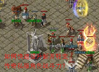 如何快速提升新开轻变传奇私服角色战斗力? 如何快速提升新开轻变传奇私服角色战斗力?