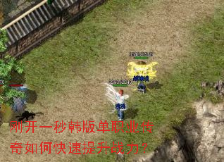 刚开一秒韩版单职业传奇如何快速提升战力? 刚开一秒韩版单职业传奇如何快速提升战力?