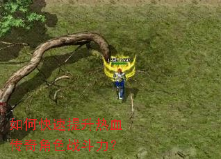 如何快速提升热血传奇角色战斗力? 如何快速提升热血传奇角色战斗力?