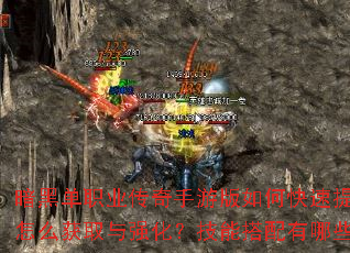 暗黑单职业传奇手游版如何快速提升战力?新手开局选什么职业最强?装备怎么获取与强化?技能搭配有哪些技巧?BOSS刷新时间与地点在哪? 暗黑单职业传奇手游版如何快速提升战力?新手开局选什么职业最强?装备怎么获取与强化?技能搭配有哪些技巧?BOSS刷新时间与地点在哪?