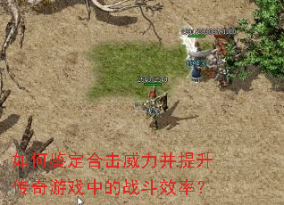 如何鉴定合击威力并提升传奇游戏中的战斗效率? 如何鉴定合击威力并提升传奇游戏中的战斗效率?