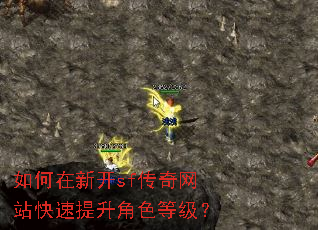 如何在新开sf传奇网站快速提升角色等级? 如何在新开sf传奇网站快速提升角色等级?