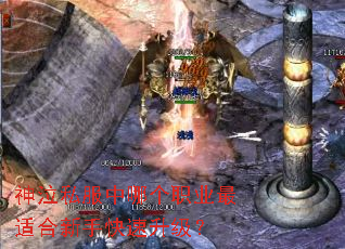 神泣私服中哪个职业最适合新手快速升级? 神泣私服中哪个职业最适合新手快速升级?