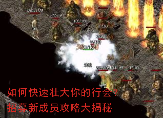 如何快速壮大你的行会?招募新成员攻略大揭秘 如何快速壮大你的行会?招募新成员攻略大揭秘