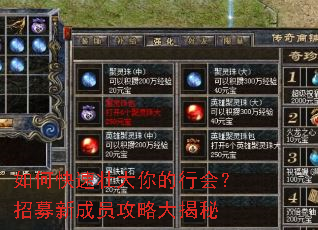 如何快速壮大你的行会?招募新成员攻略大揭秘 如何快速壮大你的行会?招募新成员攻略大揭秘