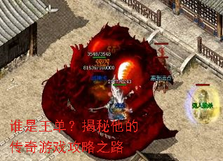谁是王单?揭秘他的传奇游戏攻略之路 谁是王单?揭秘他的传奇游戏攻略之路