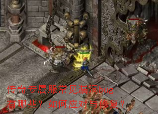 传奇专属服常见漏洞bug有哪些?如何应对与修复? 传奇专属服常见漏洞bug有哪些?如何应对与修复?