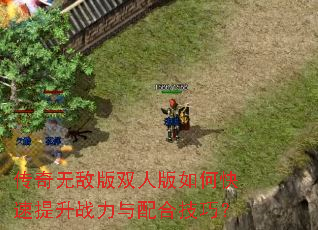 传奇无敌版双人版如何快速提升战力与配合技巧? 传奇无敌版双人版如何快速提升战力与配合技巧?