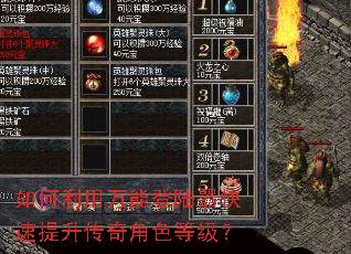如何利用万能登陆器快速提升传奇角色等级? 如何利用万能登陆器快速提升传奇角色等级?