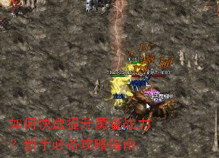 如何快速提升勇者战力?新手必备攻略指南 如何快速提升勇者战力?新手必备攻略指南