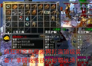 疯狂坦克私服如何打造顶级装备?掌握这些技巧称霸战场? 疯狂坦克私服如何打造顶级装备?掌握这些技巧称霸战场?
