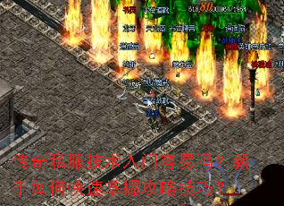 传奇私服技术入门容易吗?新手如何快速掌握攻略技巧? 传奇私服技术入门容易吗?新手如何快速掌握攻略技巧?