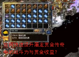 如何快速提升屠龙赏金传奇中的战斗力与赏金收益? 如何快速提升屠龙赏金传奇中的战斗力与赏金收益?