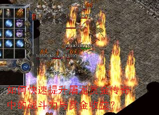 如何快速提升屠龙赏金传奇中的战斗力与赏金收益? 如何快速提升屠龙赏金传奇中的战斗力与赏金收益?