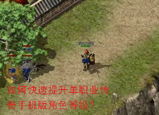 如何快速提升单职业传奇手机版角色等级? 如何快速提升单职业传奇手机版角色等级?