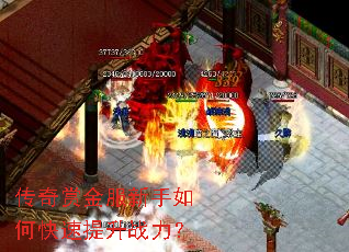 传奇赏金服新手如何快速提升战力? 传奇赏金服新手如何快速提升战力?