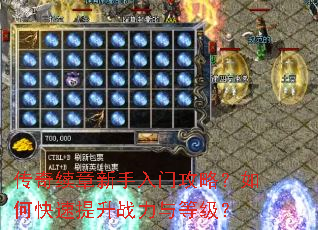 传奇续章新手入门攻略?如何快速提升战力与等级? 传奇续章新手入门攻略?如何快速提升战力与等级?