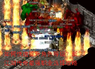 如何快速提升角色等级?新江湖传奇最强职业选择攻略 如何快速提升角色等级?新江湖传奇最强职业选择攻略