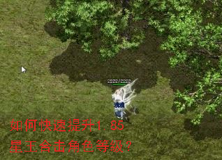 如何快速提升1.85星王合击角色等级? 如何快速提升1.85星王合击角色等级?
