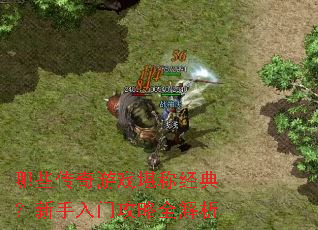 哪些传奇游戏堪称经典?新手入门攻略全解析 哪些传奇游戏堪称经典?新手入门攻略全解析