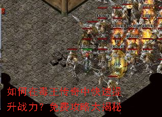 如何在毒王传奇中快速提升战力?免费攻略大揭秘 如何在毒王传奇中快速提升战力?免费攻略大揭秘