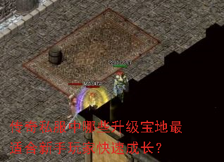 传奇私服中哪些升级宝地最适合新手玩家快速成长? 传奇私服中哪些升级宝地最适合新手玩家快速成长?