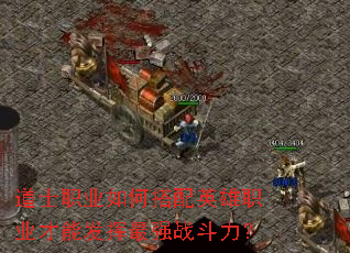 道士职业如何搭配英雄职业才能发挥最强战斗力? 道士职业如何搭配英雄职业才能发挥最强战斗力?