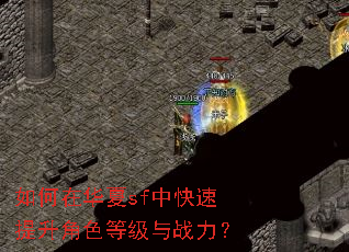 如何在华夏sf中快速提升角色等级与战力? 如何在华夏sf中快速提升角色等级与战力?