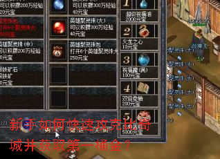 新手如何快速攻克比奇城并获取第一桶金? 新手如何快速攻克比奇城并获取第一桶金?