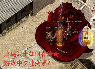 菜鸟战士如何在传奇游戏中快速变强? 菜鸟战士如何在传奇游戏中快速变强?