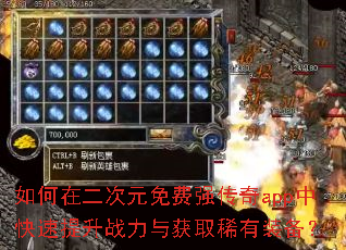 如何在二次元免费强传奇app中快速提升战力与获取稀有装备? 如何在二次元免费强传奇app中快速提升战力与获取稀有装备?