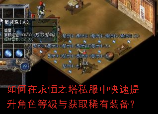 如何在永恒之塔私服中快速提升角色等级与获取稀有装备? 如何在永恒之塔私服中快速提升角色等级与获取稀有装备?