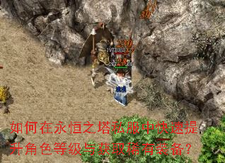 如何在永恒之塔私服中快速提升角色等级与获取稀有装备? 如何在永恒之塔私服中快速提升角色等级与获取稀有装备?