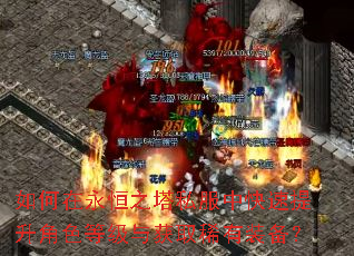 如何在永恒之塔私服中快速提升角色等级与获取稀有装备? 如何在永恒之塔私服中快速提升角色等级与获取稀有装备?